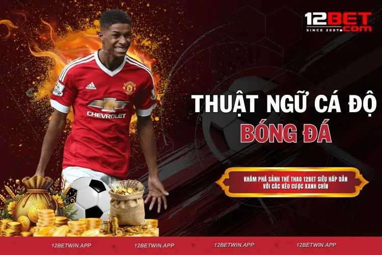 Thuật Ngữ Cá Độ Bóng Đá Được Sử Dụng Nhiều Nhất Hiện Nay