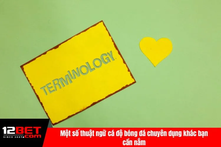 Một số thuật ngữ cá độ bóng đá chuyên dụng khác bạn cần nắm